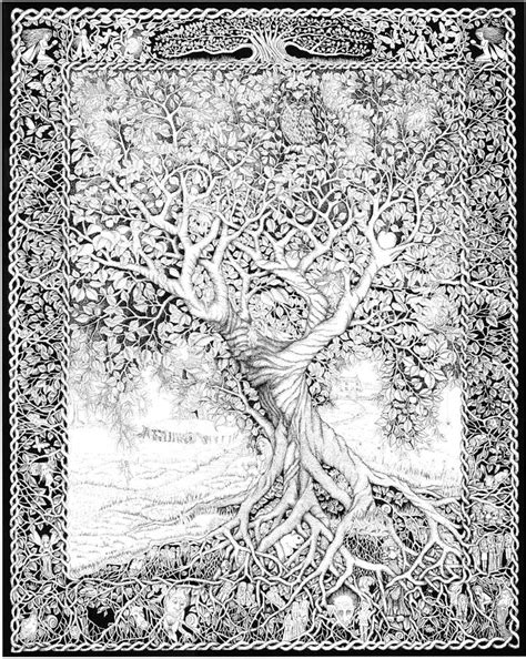 tree coloring pages  roots coloring book