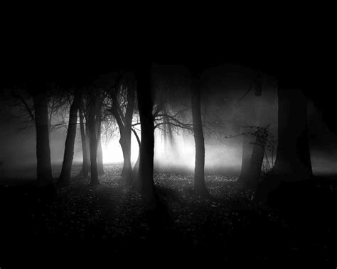 dark forest  dark side   photo  fanpop