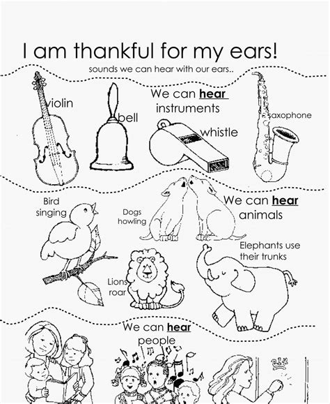 ear coloring pages  kids