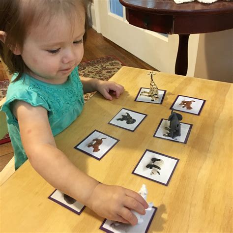 montessori toddler language object  picture matching