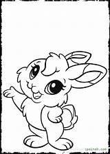 Bunny Baby Cute Drawing Coloring Getdrawings Pages sketch template