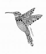 Zentangle Hummingbird Zeichnungen sketch template