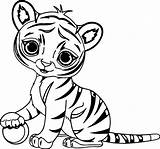 Tiger Coloring Cute Small Pages Wecoloringpage доску выбрать раскраски sketch template