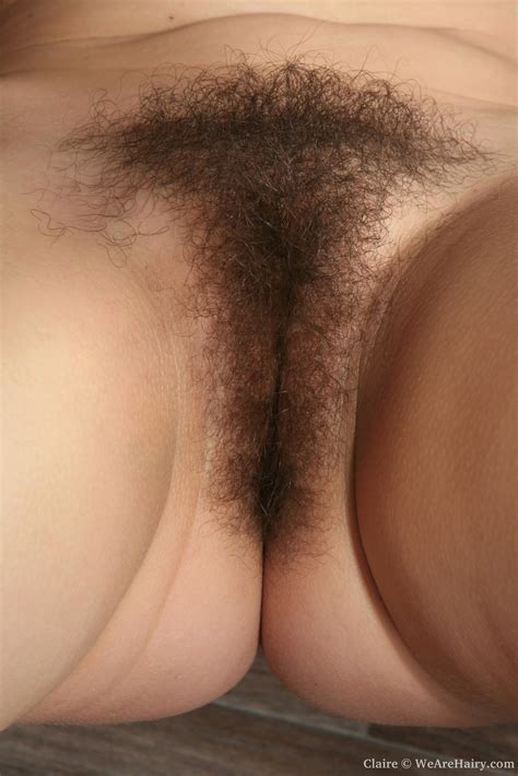 hairy pussy erotica page 7 xossip