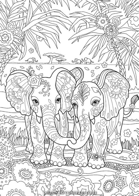 coloring pages nature animals coloring pages ideas