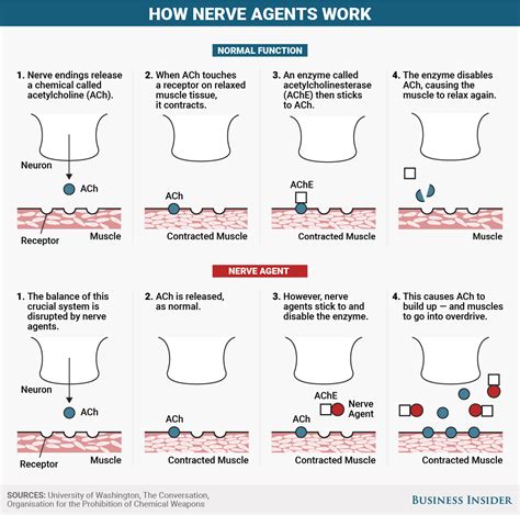 nerve agents work   theyre  lethal business insider