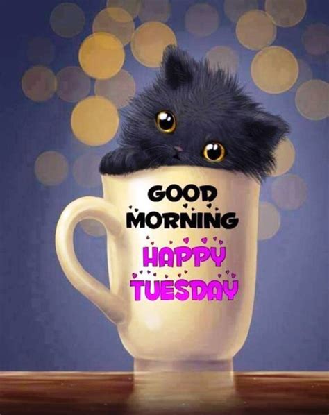 happy tuesday good morning good morning wishes images