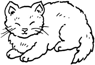 cats coloring pages  kids learning identifying colors