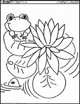 Coloring Frog Pages Lily Pad Monet Sweet Frogs Color Cartoon Drawing Pads Claude Toad Preschoolers Leapfrog Getcolorings Getdrawings Frogadier Drawings sketch template