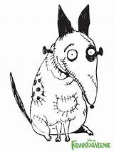 Tim Burton Frankenweenie Sparky Draw Drawings Drawing Disney Sn Halloween Style Learn Cartoon Di Doodle F82 Skellington Jack Boo Choose sketch template