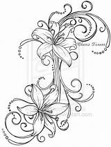 Tattoo Tattoos Lily Drawing Stargazer Designs Lilies Blumen Vorlagen Drawings Flower Back Deviantart Outline Metacharis Tribal Lower Tiger Lilly Glass sketch template