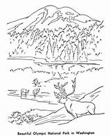 Coloring National Pages Park Olympic Wilderness Denali Places Parks Historic Grand Sheets Kids Monuments Clipart Canyon Patriotic Printables Banff Usa sketch template