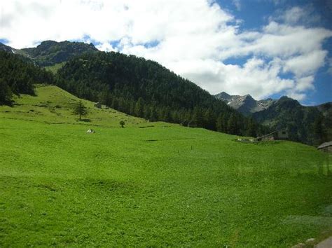 wiesen waelder felder berge fluesse   immer jemand sucht