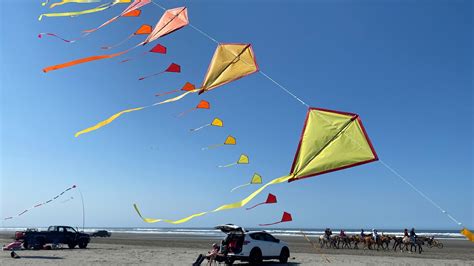 worlds biggest kite store   washingtons coast kingcom