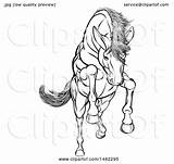 Horse Charging Rearing Clipart Jumping Illustration Royalty Atstockillustration Vector Clip Collc0021 sketch template