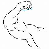 Biceps Step Sketch Easydrawingguides Tutorial sketch template