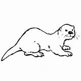 Coloring Otter Animals Clipartbest Town Sheet Color Clipart sketch template