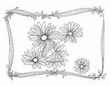Daisies Instant sketch template