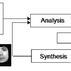 schematized flow   analysis  synthesis approach  scientific diagram