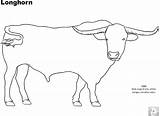 Angus Longhorn Cattle sketch template