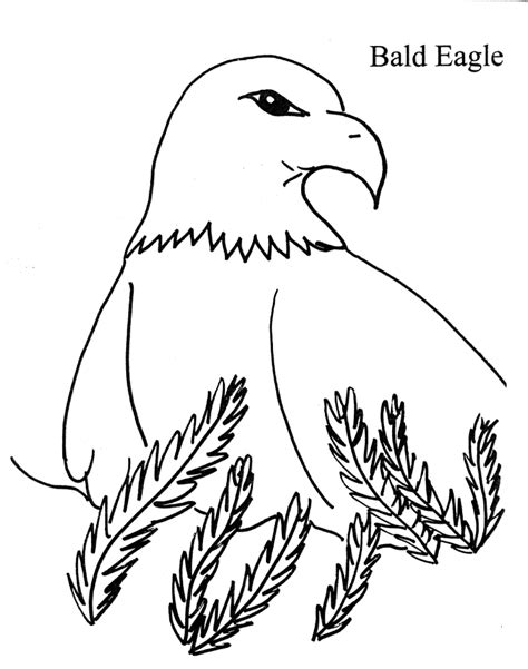 bald eagle coloring pages coloring home