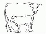 Coloring Cow sketch template