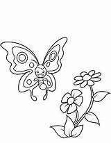 Schmetterling Mit Schmetterlinge Ausmalbild Butterfly Malvorlage Vlinders Ausmalen Malvorlagen Schmetterlings Kleurplaten Kostenlose Zeichnen Einhorn sketch template