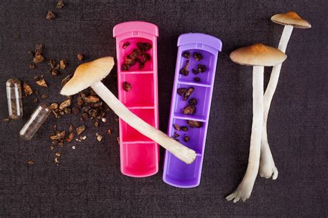 Does Microdosing Magic Mushrooms Actually Work Experts Weigh In