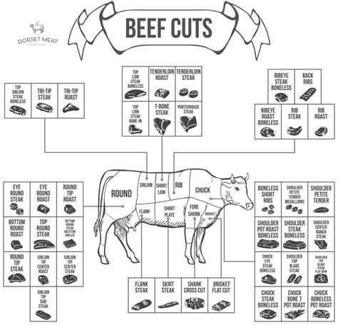 butchers guide  beef cuts cuts  beef uk butchers cuts beef cuts uk
