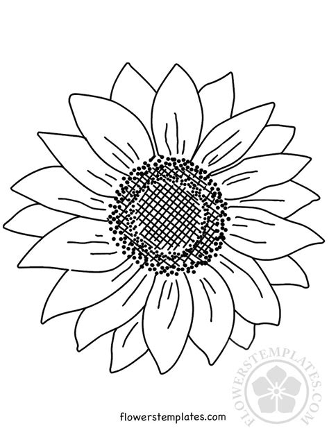 large sunflower coloring page flowers templates