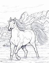 Coloring Horse Pages Zentangle Horses Kids Animal Book Drawings Print Colouring Color Getdrawings Printable Adults Unicorns Pegasus Stallion Getcolorings Au sketch template