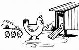 Coop Chicken Coloring Pages Enter Chick Lead Mother Her Netart Hen Print Cartoon Color Search sketch template