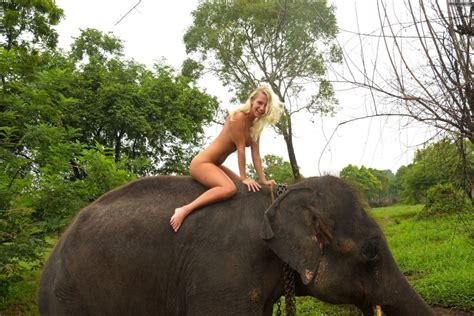Naked Blonde Babeâ€™s Exciting Elephant Ride Porn Pic