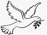 Dove Peace Branch Olive Template Coloring Symbols Drawing Clipart Pages Outline Christian Clip Doves Cliparts Drawings Popular Catholic Bird Library sketch template