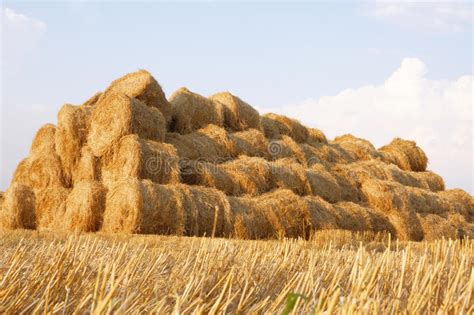 haystack stock photo image  agricultural cloudiness