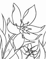 Coloring Spring Garden Flower sketch template