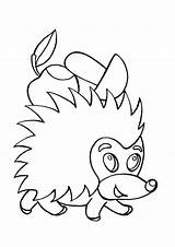 Hedgehog Coloring Children Pages Hedgehogs Understand Came Same Hair Where Name Style Now Print sketch template