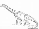 Brachiosaurus Indoraptor Dinosaurier Ausmalbilder sketch template