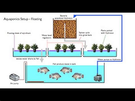 diy aquaponics system designs youtube