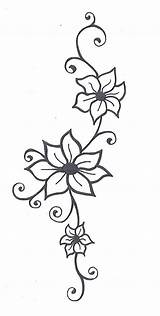 Vine Drawing Flower Tattoo Vines Flowers Drawings Sketch Line Easy Draw Tattoos Floral Stencils Simple Designs Small Scroll Jasmine Patterns sketch template