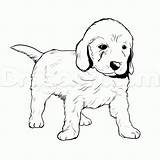 Lab Line Drawing Coloring Pages Labrador Clipartmag sketch template