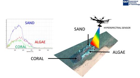 coral reef monitoring takes   skies drone mounted hyperspectral cameras  scientists