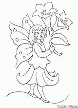 Coloring Fairy Fata Fadas Disegni Duendes Colorkid Lilies Gigli Lirios Hada Elfos Hadas Elves Fairies Elfi Kolorowanka Lírios Fada Malvorlagen sketch template