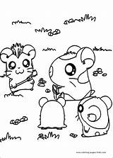 Coloring Hamtaro Pages Cartoon Cute Color Printable Book Kids Sheets Animals Character Info Print Last Fun Books sketch template
