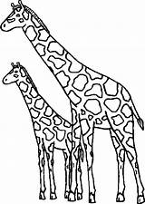 Giraffe Giraffen Tropicali Malvorlage Malvorlagen Ics sketch template