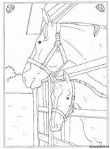 Kleurplaat Kleurplaten Manege Ausmalbilder Paarden Paard Stall Pferde Reitschule Moeilijk Mandala Source Altijd Leukste Vind Eerst Animaatjes Bezoeken sketch template