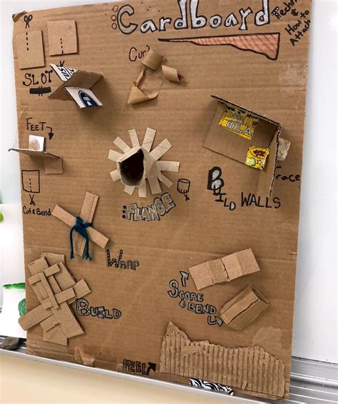 creative cardboard sculptures  art  education university
