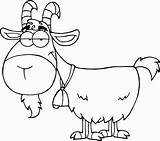 Coloring Goat Cute Popular sketch template