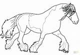 Horse Coloring Pages Gypsy Mustang Horses Clydesdale Morgan Baby Draft Paint Drawing Printable Vanner War Pferd Tinker Ausmalbild Desenho Para sketch template