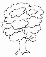 Tree Coloring Pages Preschool Trees Coloring4free sketch template